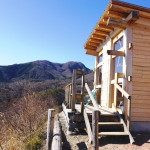 南向きで暖かな日差しが入ります