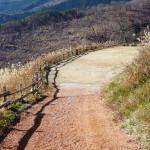 フリーサイト入り口