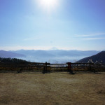 フリーサイトと景色