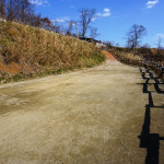 フリーサイトスペース